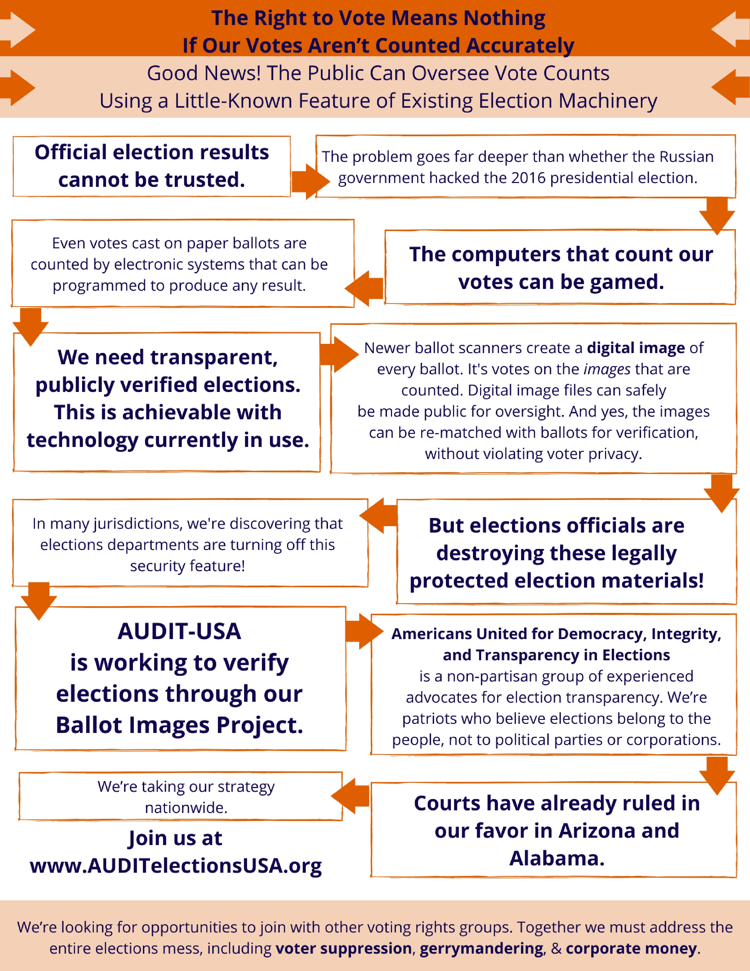 Ballot images issue simplified in infographic style